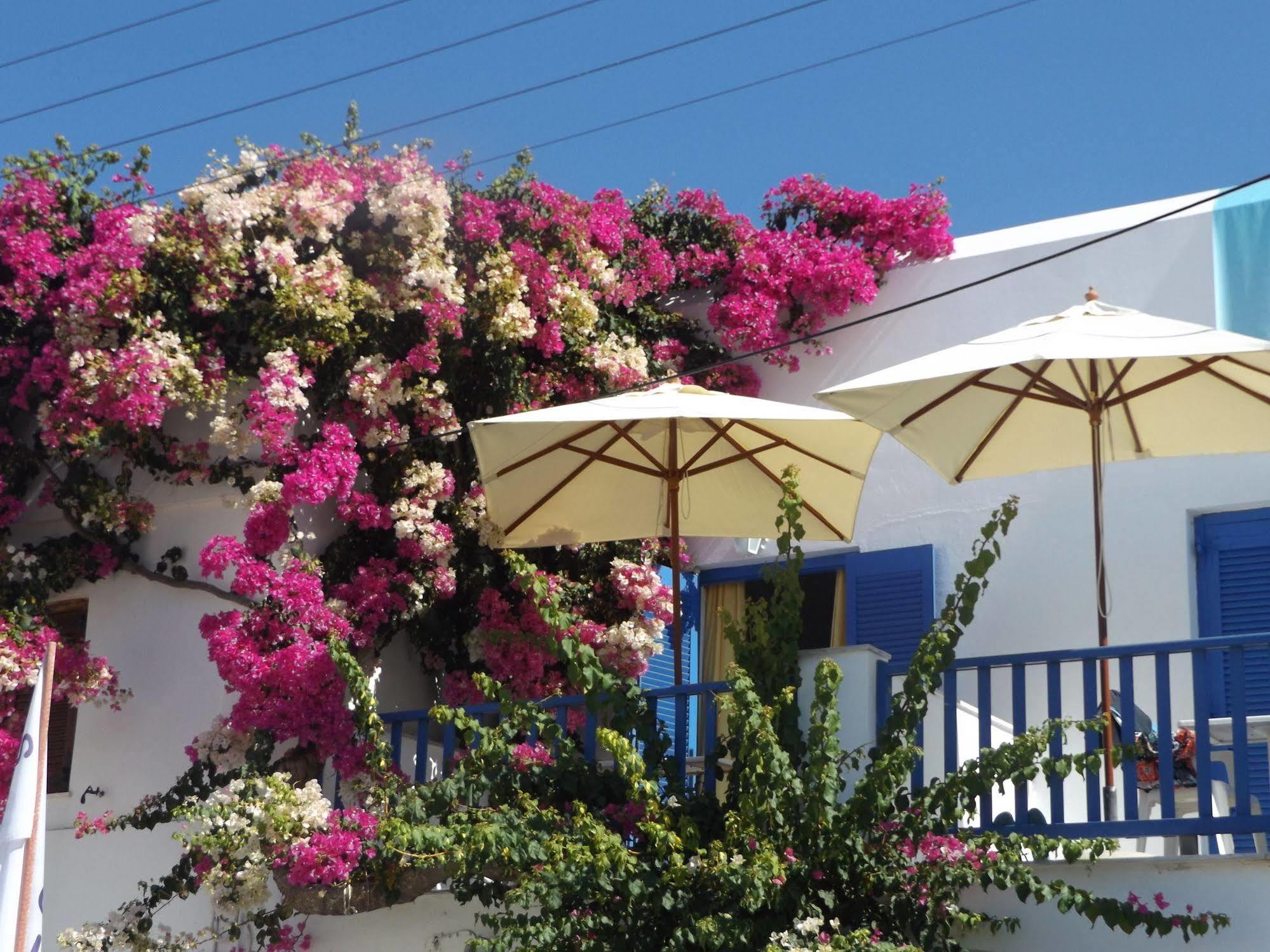 Stergia Hotel Páros Exterior foto